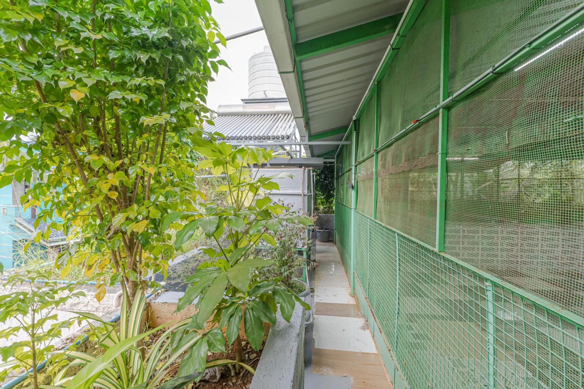 Udupi Homestay Garden Villa エクステリア 写真