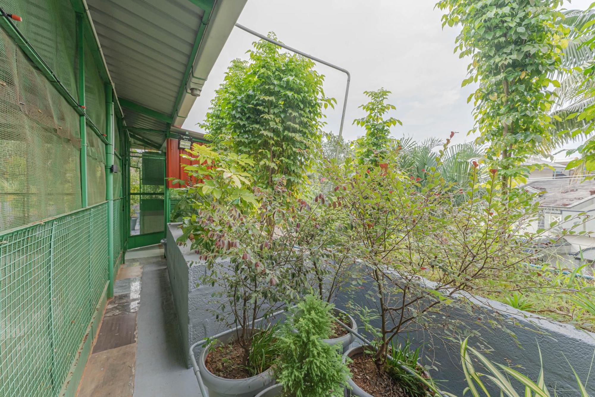 Udupi Homestay Garden Villa エクステリア 写真